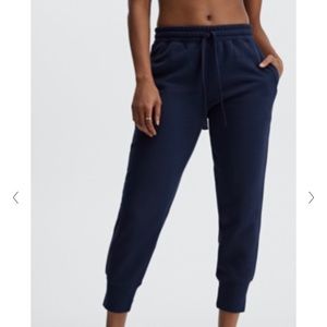Fabletics Daria Fleece Jogger size Medium